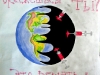 2005_fk-11