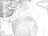 2007_fk